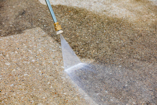 Best Dumpster Area Cleaning  in Bradfordville, FL