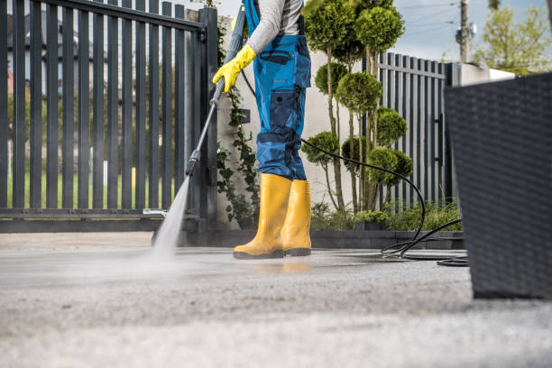 Best Building Exterior Washing  in Bradfordville, FL